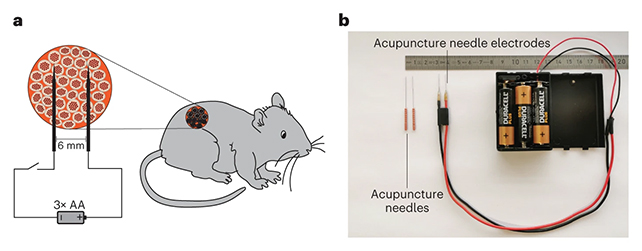 Electricity Can Control Your Genes