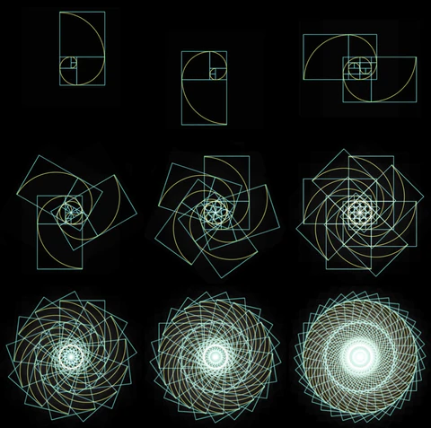How Fibonacci Effects Nature Of Humans Natures Mathematical Marvel
