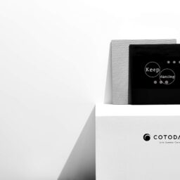 COTODAMA Lyric Speaker As A Canvas - Luxurious High Quality Speaker - Compatible with AirPlay, Chrome Cast and Spotify
